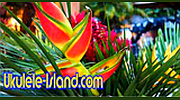 Aloha Joe's Ukulele Island Radio logo