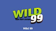 Powerhitz - Wild99
