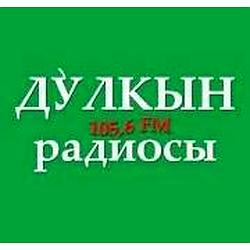Дулкын Радиосы logo