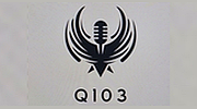 Q103