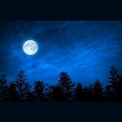 WSNS: Songwriters, Soul, and Solid Gold logo