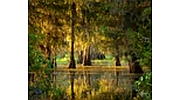 Bayou FM