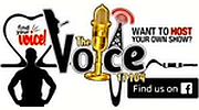 The Voice 17104