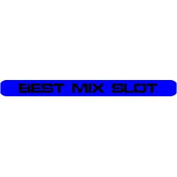 RadioSlot: The Best Mix Slot logo