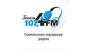 Гомельское городское радио