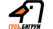 Радио ГУСЬ.Бигрум