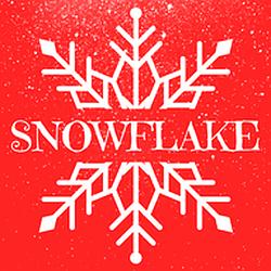 Snowflake logo