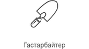 Га­стар­бай­тер FM Record logo