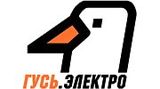 Радио ГУСЬ.Электро