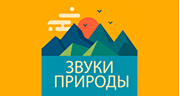 Радио Звуки Природы