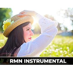 RMNradio - Instrumentalhits logo