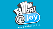 Radio NJOY 91.3 logo