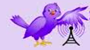 Radio Palermo logo