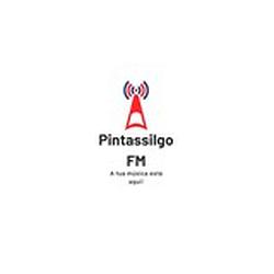 Pintassilgo V