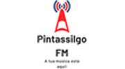 Pintassilgo V