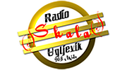Skala Skala logo