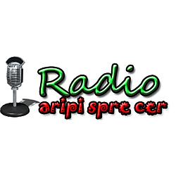 Radio Crestin Aripi Spre Cer International