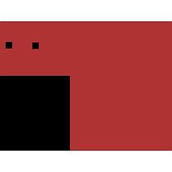 Онлайн радио „Червеният Папагал“