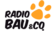 Virgin Radio Radio Bau