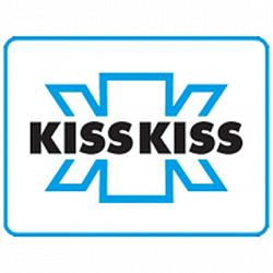 Radio Kiss Kiss Disco Party logo