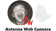 Antenna Web Cannara logo