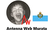 Antenna Web Murata