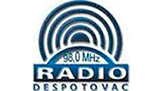 Radio Puls