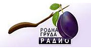 Radio Rodna Gruda