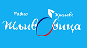 Radio Šljivovica Radio Šljivovica logo