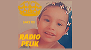 Radio Pelik Radio Pelik logo