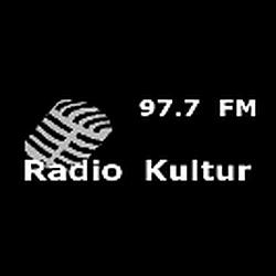 Radio Kultur logo