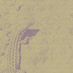 Cool Chill House logo