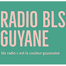 behary laul sirder BLS