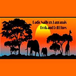 Radio Nailloux Lauragais logo