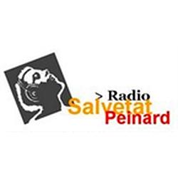 Radio Salvetat Peinard