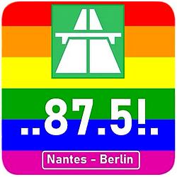 875 Nantes logo