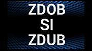 Zdob si Zdub Радио