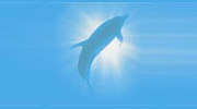 Instrumental & Orchestral Hits Instrumental & Orchestral Hits logo