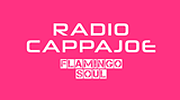 Radio Cappajoe - Flamingo Soul logo