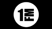 Перше радіо FM1 logo