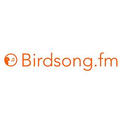 Birdsong