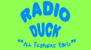 Radio Duck