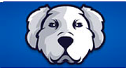 Mdog Radio