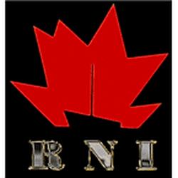 RNI Radio Northsea International logo