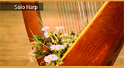 Radio Art - Solo Harp