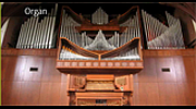 Radio Art - Organ