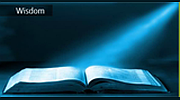 Radio Art - Wisdom logo