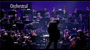 Radio Art - Orchestral Radio Art - Orchestral logo