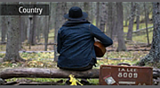 Radio Art - Country logo