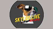 Skylos live radio Skylos live radio logo